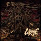 GRAVE - Endless Procession of Souls CD